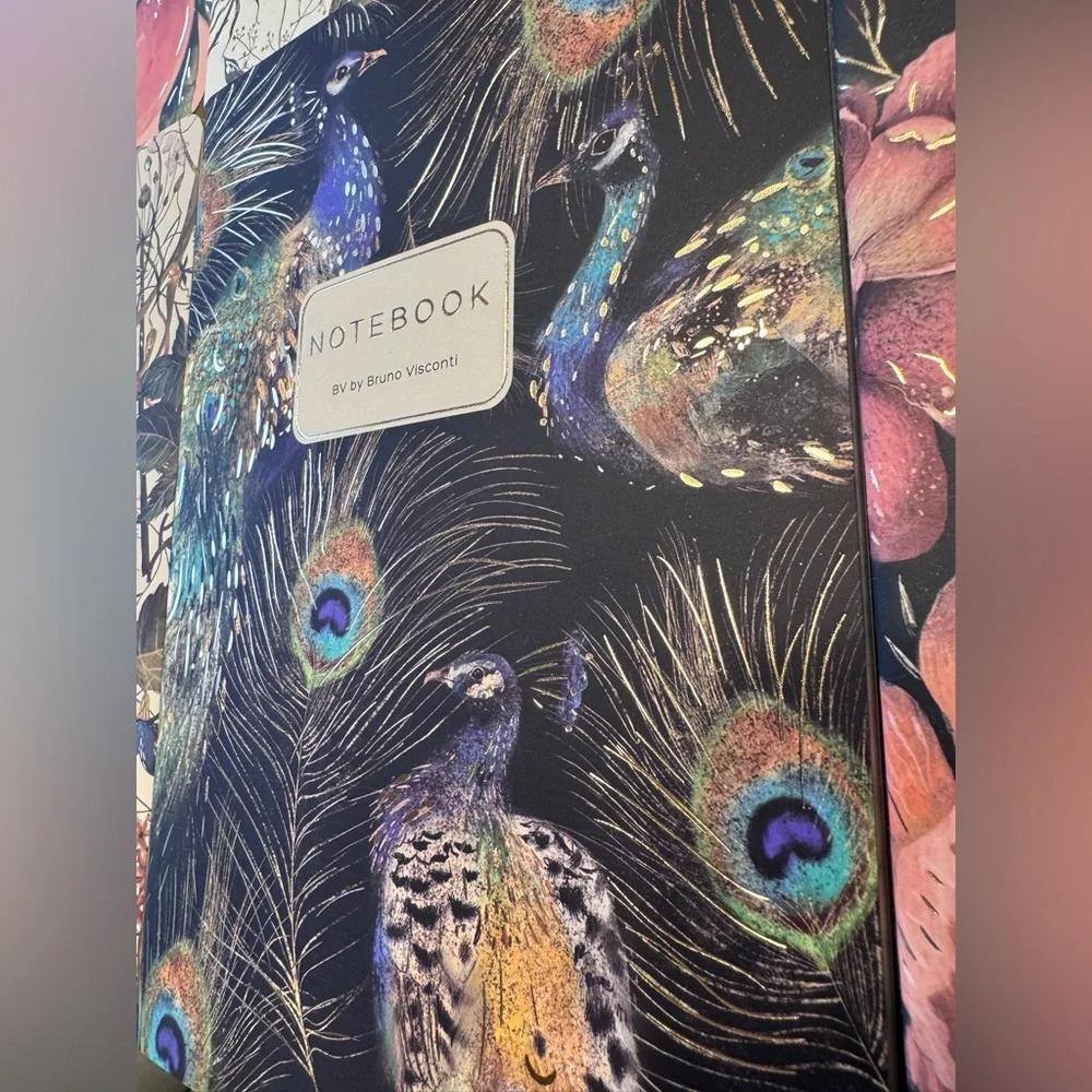 BV By Bruno Visconti these notebooks
